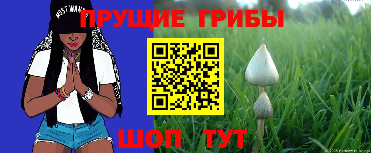 Псилоцибиновые грибы Psilocybine cubensis  Вход с VPN  Ливны 