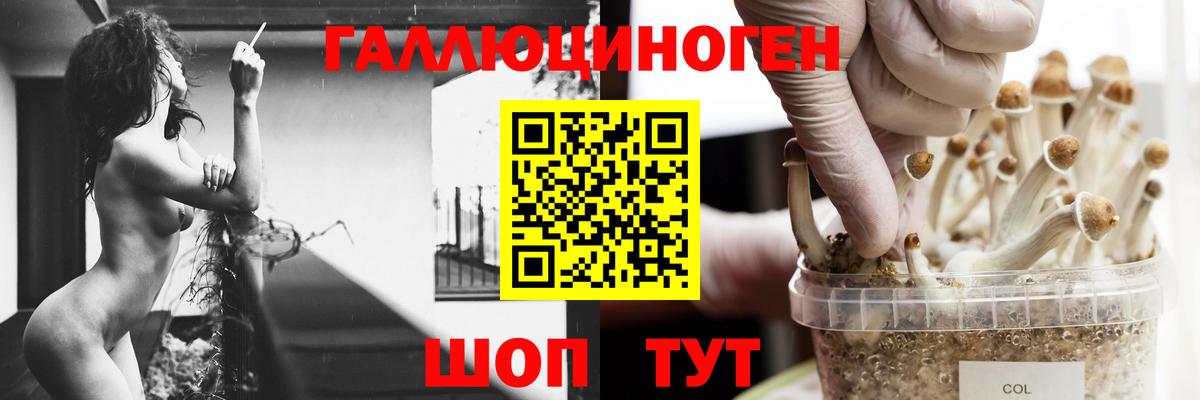 Псилоцибиновые грибы Psilocybine cubensis Ливны